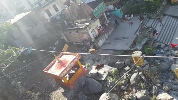 Singe Marchant Sur Fil Dans Rishikesh Inde — Video