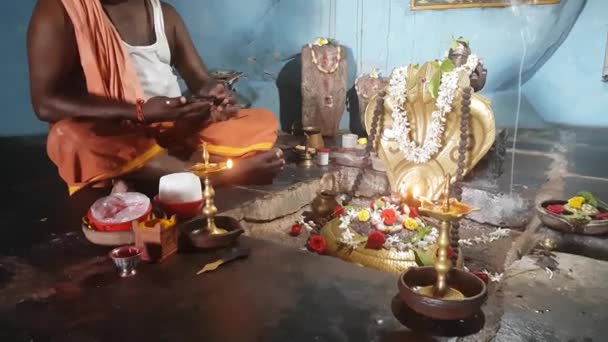 印度寺庙祭坛中的印地语牧师拿着智能手机 — 图库视频影像