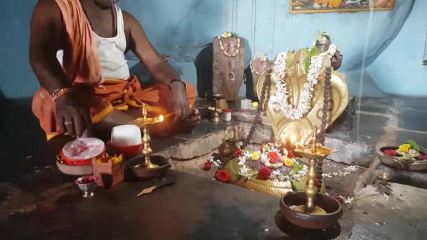 Священник Брамина Алтарь Храме Шивы Индии — стоковое видео