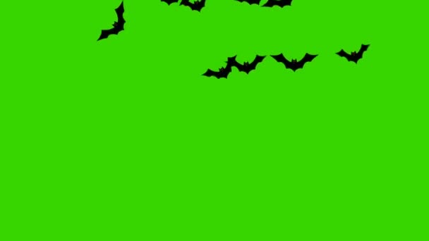 緑の画面上で片側から別の側に飛んでいるコウモリのグループ — ストック動画