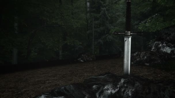 Espada Ferro Medieval Presa Dentro Uma Rocha Uma Floresta — Vídeo de Stock