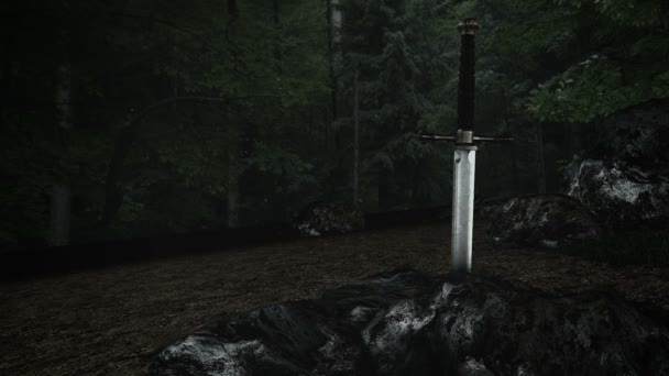 Espada Mágica Excalibur Dentro Uma Rocha Uma Floresta — Vídeo de Stock