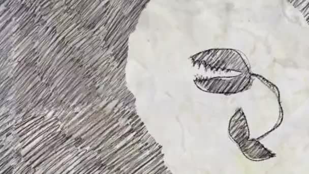 Venusfliegenfalle Stil Der Bleistiftzeichnung — Stockvideo