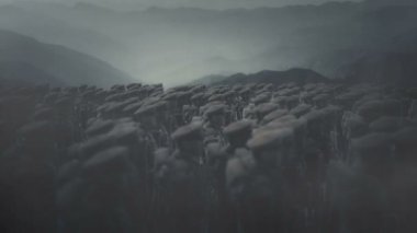 1. Dünya Savaşı İngiliz Birlikleri Savaş Alanında Duruyor