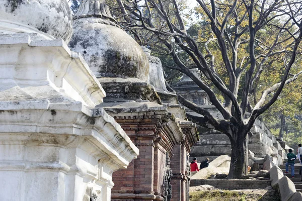 Pashupatinath Tempel Kathmandu Nepal Mei 2018 — Stockfoto