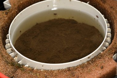 bir filtre için bir akvaryum Bakımı