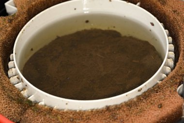 bir filtre için bir akvaryum Bakımı