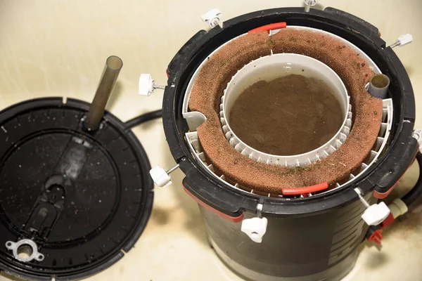 bir filtre için bir akvaryum Bakımı