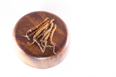 Mantar Cordyceps Çince, geleneksel Tibet ilaçtır
