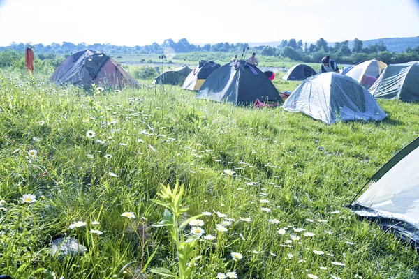 Kamp Bir Çiçekli Çayır Ukrayna Mayıs 2018 Dinyester Nehri Üzerinde — Stok fotoğraf