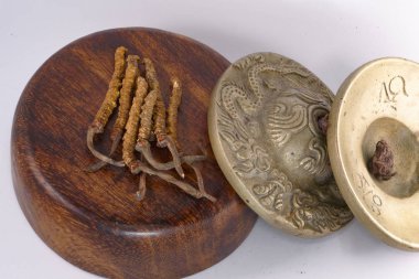 Mantar Cordyceps Çince, geleneksel Tibet ilaçtır