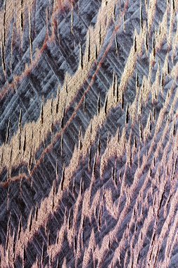 Bir makro objektif doku wenge ağaca vurdu