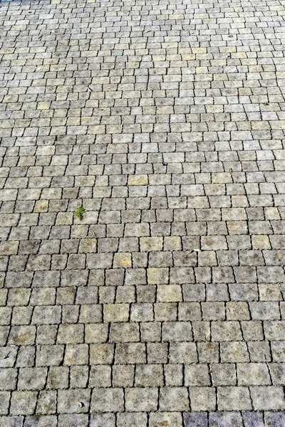 sidewalk tile, Artificial stone laid in a beautiful pattern on the path of the city park