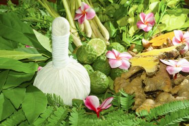 Ayurveda Hint tıp, bitkisel masaj çanta