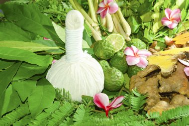 Ayurveda Hint tıp, bitkisel masaj çanta