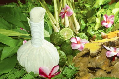 Ayurveda Hint tıp, bitkisel masaj çanta