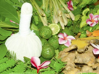 Ayurveda Hint tıp, bitkisel masaj çanta