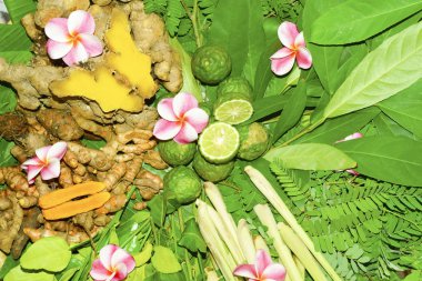 Ayurveda Hint tıp, bitkisel masaj çanta