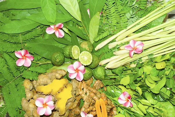 Ayurveda Indische Medizin Kräutermassagetaschen — Stockfoto