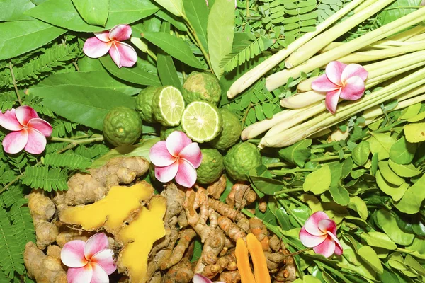 Ayurveda Indische Medizin Kräutermassagetaschen — Stockfoto