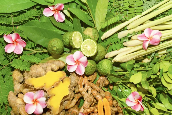 Ayurveda Indische Medizin Kräutermassagetaschen — Stockfoto