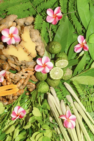 Ayurveda Indische Medizin Kräutermassagetaschen — Stockfoto