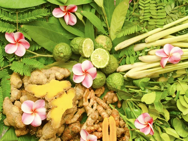 Ayurveda Indische Medizin Kräutermassagetaschen — Stockfoto