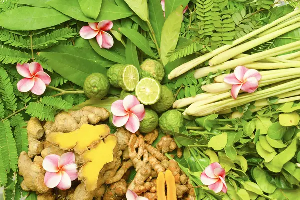 Ayurveda Indische Medizin Kräutermassagetaschen — Stockfoto