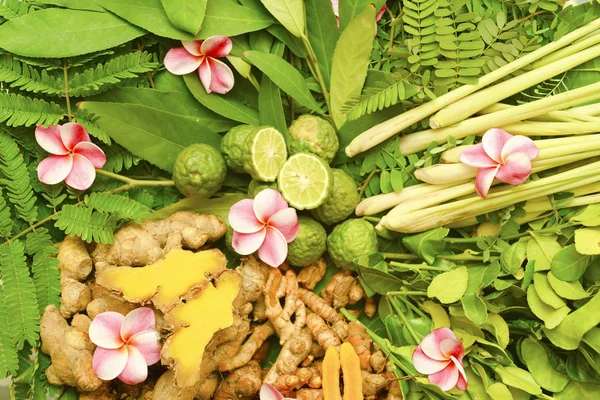 Ayurveda Indische Medizin Kräutermassagetaschen — Stockfoto