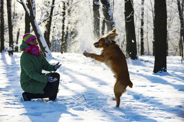 Chica Con Perro Pasea Invierno Nieve — Foto de Stock