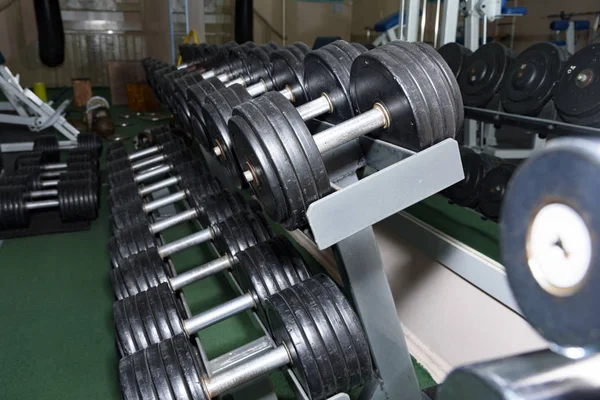 Sports Dumbbells Rack Gym — Stock Photo, Image