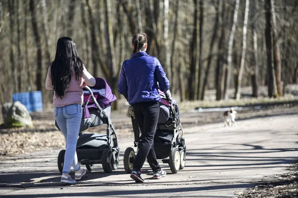 Anne ile bebek arabaları Şehir Parkı