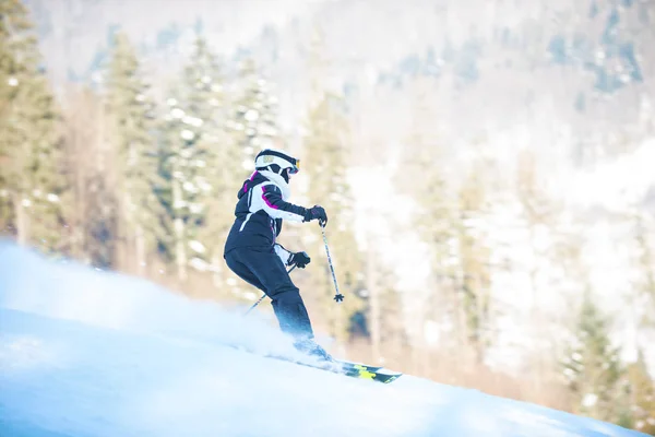 Ski Jeunesse Dans Les Montagnes Des Carpates Ukraine Décembre 2016 — Photo