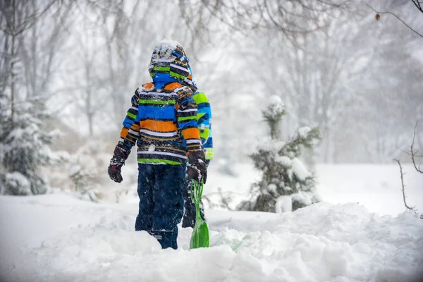 children playing in the snow, Ukraine, Mukachevo, December 2016