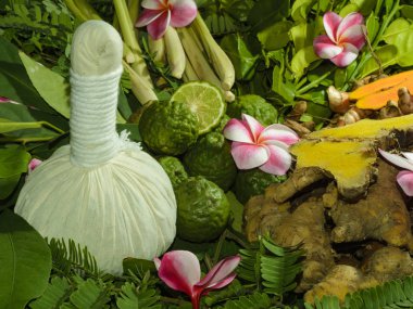 Ayurveda Tıp Bitkisel torbalar içinde