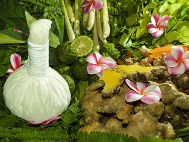 Ayurveda Tıp Bitkisel torbalar içinde