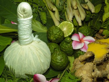 Ayurveda Tıp Bitkisel torbalar içinde