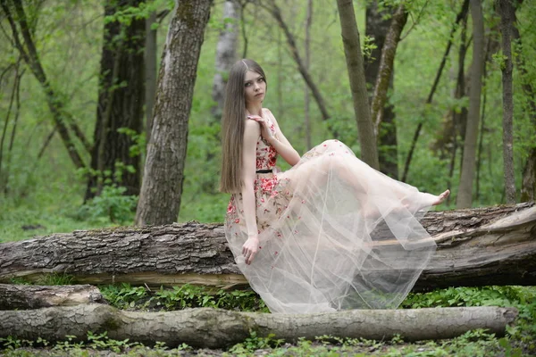 Schöne Mädchen Einem Weißen Kleid Wald — Stockfoto