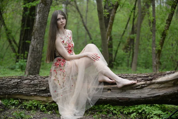 Красивая Девушка Белом Платье Лесу — стоковое фото
