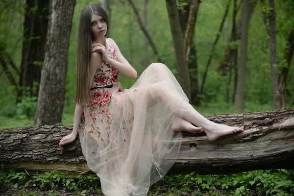 森の中の白いドレスを着た美しい少女 — ストック写真