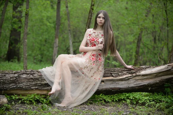 Schöne Mädchen Einem Weißen Kleid Wald — Stockfoto