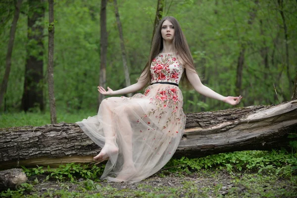 Schöne Mädchen Einem Weißen Kleid Wald — Stockfoto