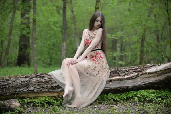 Belle Fille Dans Une Robe Blanche Dans Forêt — Photo