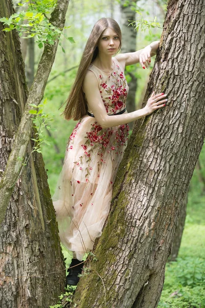 Flicka Lång Klänning Nära Ett Träd — Stockfoto