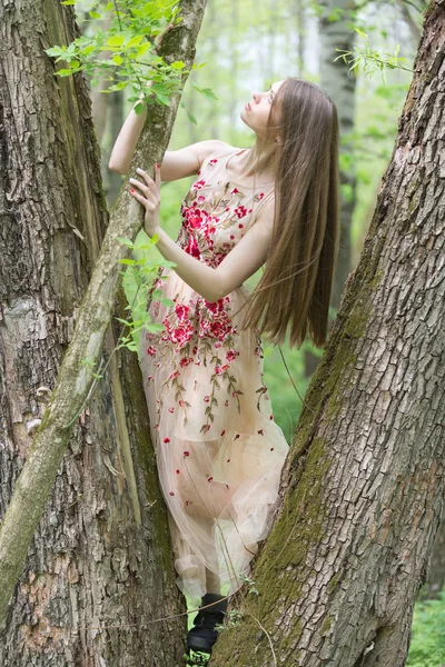 Chica Vestido Largo Cerca Árbol — Foto de Stock