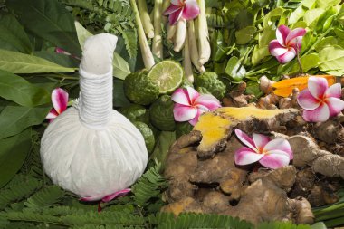 Ayurvedik Masaj Hint otlar bitkisel torbalar ile