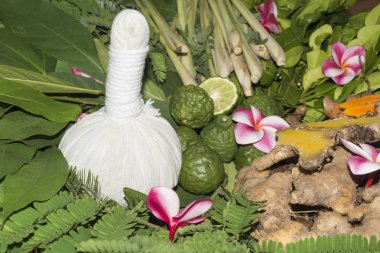 Ayurvedik Masaj Hint otlar bitkisel torbalar ile