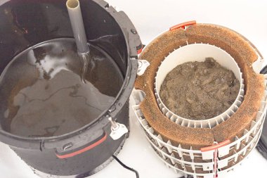 tatlı su akvaryum akvaryum süzgeç bakımı. Temizlik ve durulama