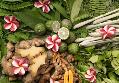 Ayurveda otlar. Hindistan. 2017