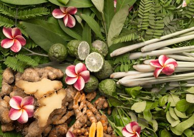 Ayurveda otlar. Hindistan. 2017